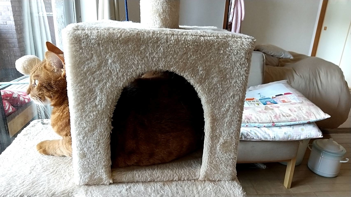 f:id:Betty0918:20220110123000j:plain