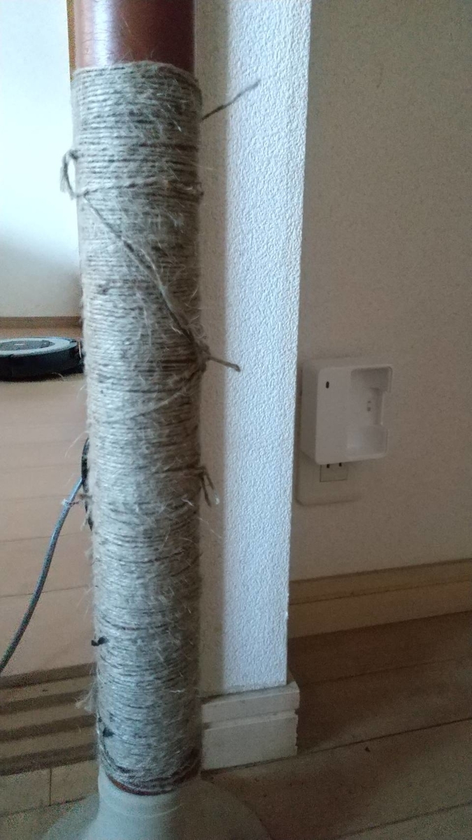 f:id:Betty0918:20220205115330j:plain