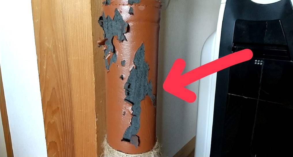 f:id:Betty0918:20220205115548j:plain