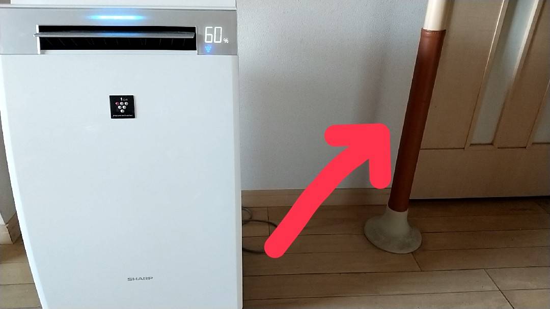 f:id:Betty0918:20220205115802j:plain