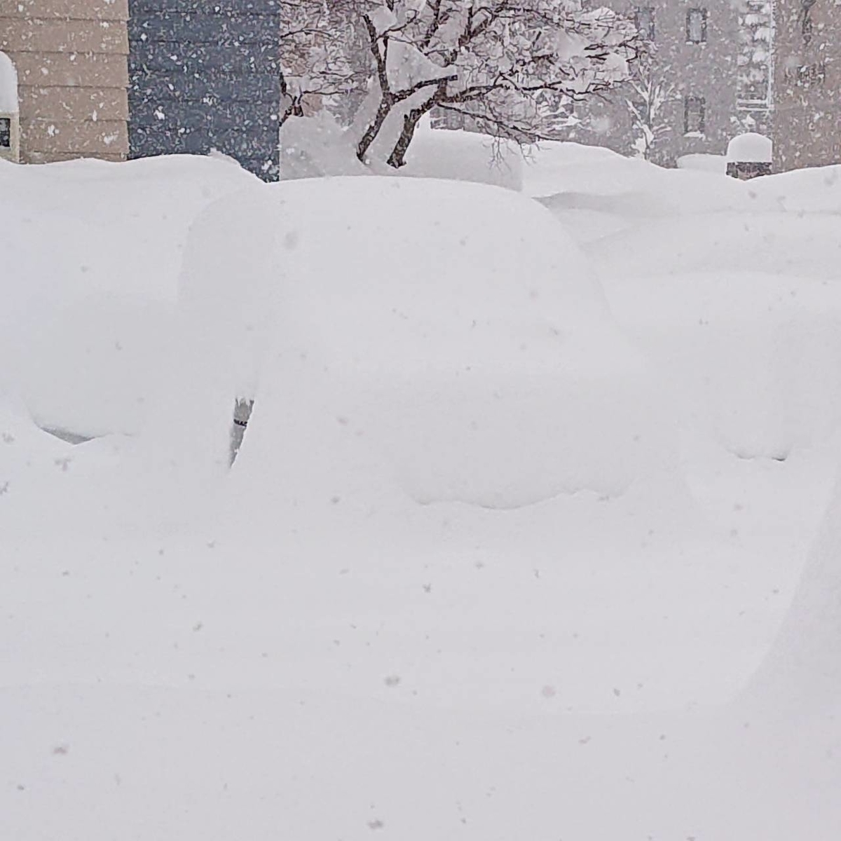 f:id:Betty0918:20220206133853j:plain