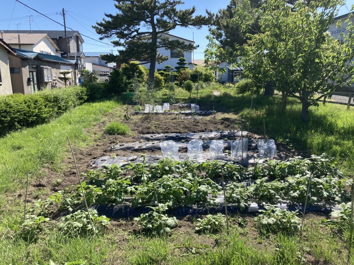 f:id:Betty0918:20220211212222j:plain