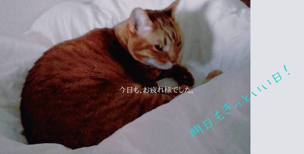 f:id:Betty0918:20220219200723j:plain