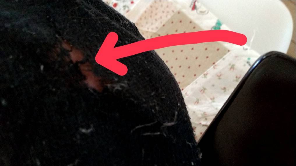 f:id:Betty0918:20220222153046j:plain