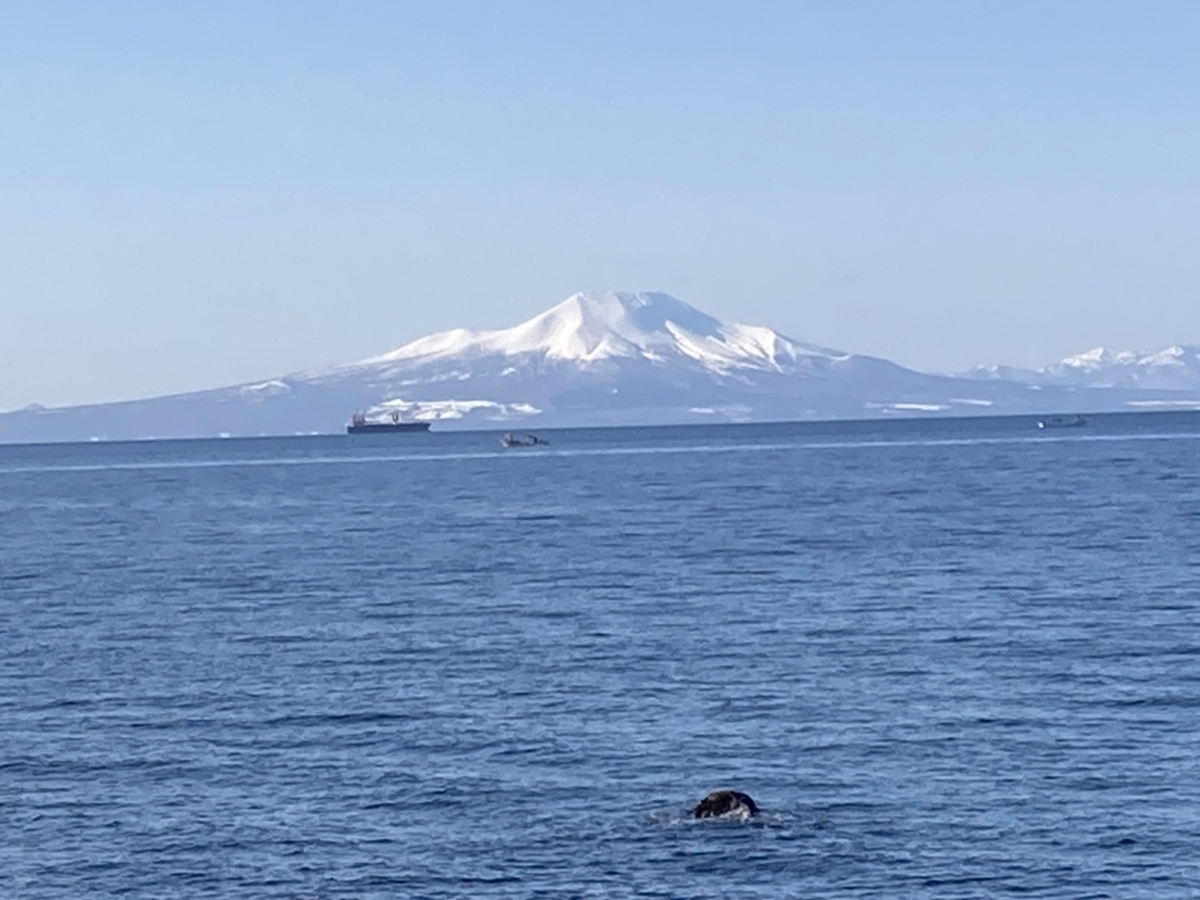 f:id:Betty0918:20220321180338j:plain