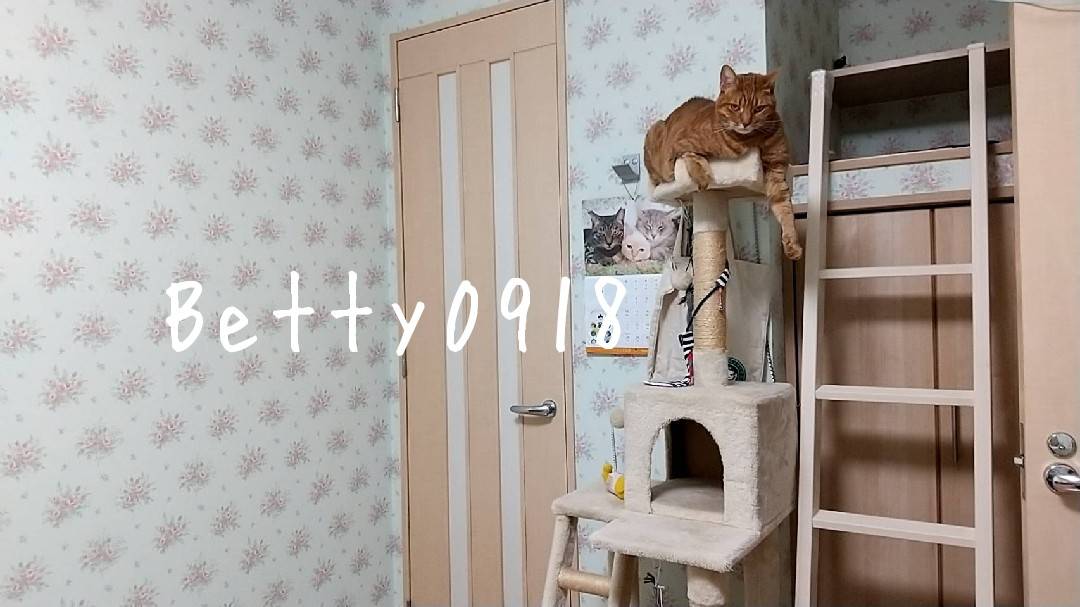 f:id:Betty0918:20220406175229j:plain