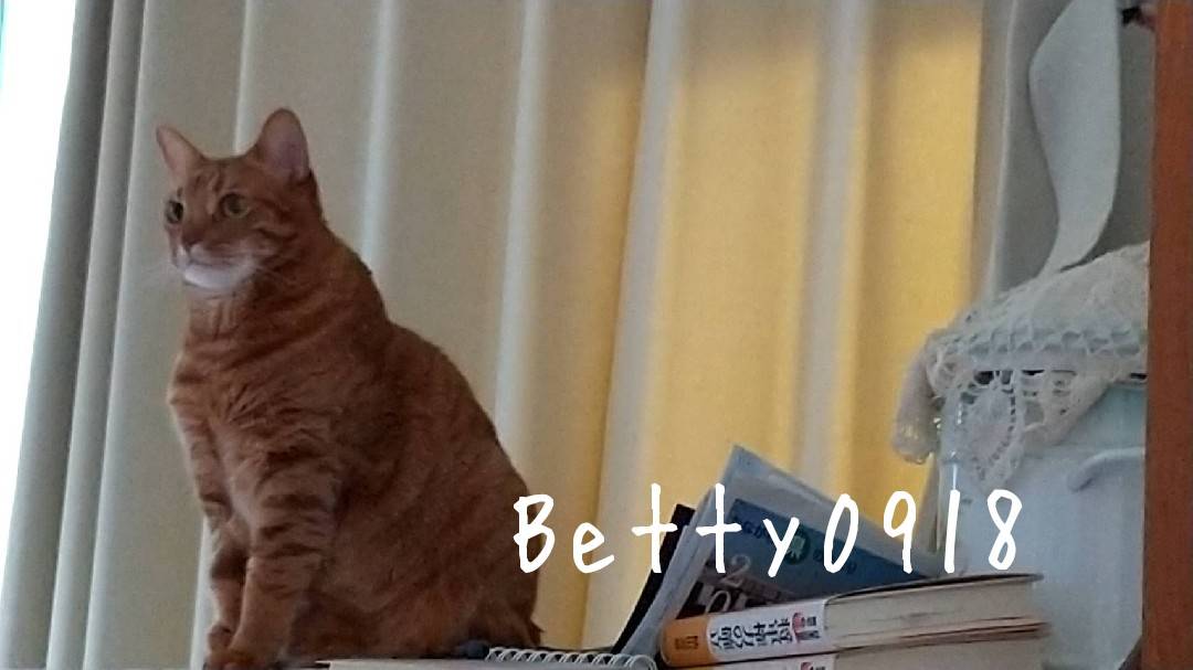 f:id:Betty0918:20220406182340j:plain
