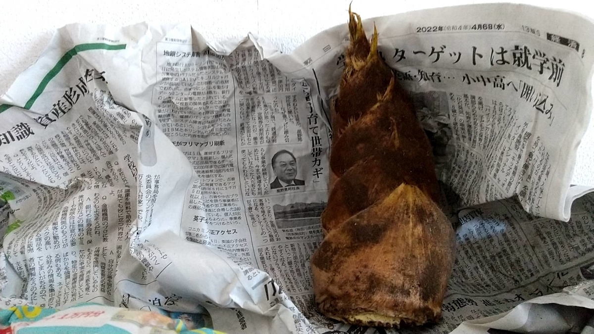 f:id:Betty0918:20220409095504j:plain