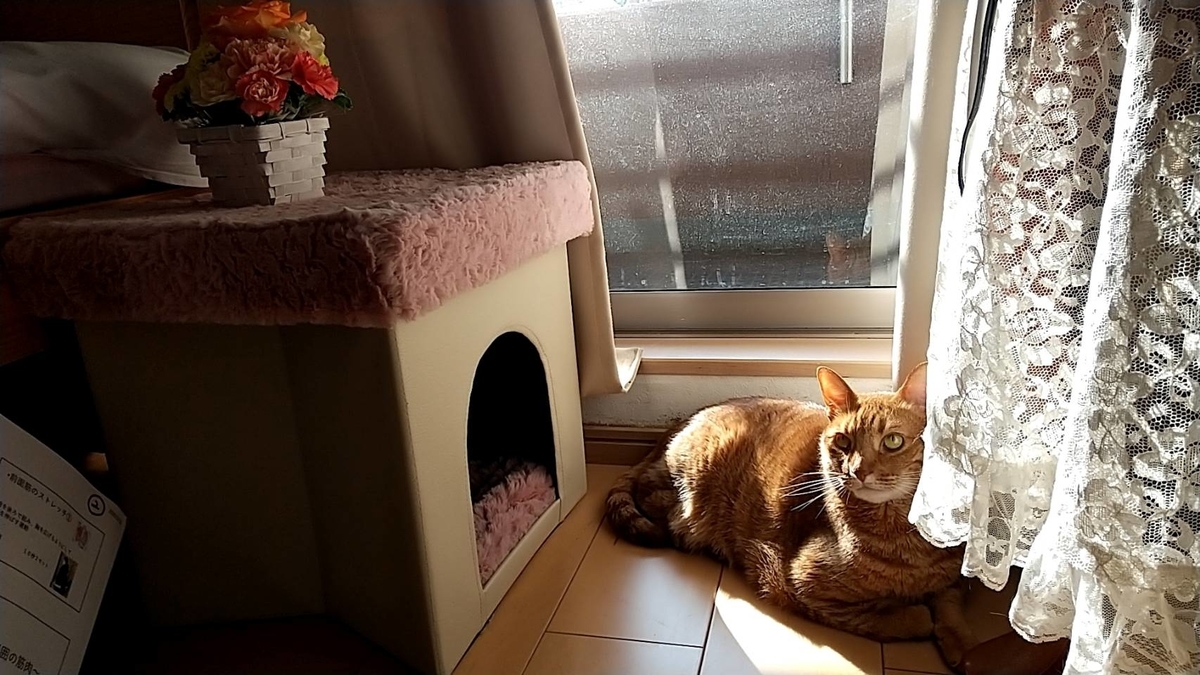 f:id:Betty0918:20220409095902j:plain