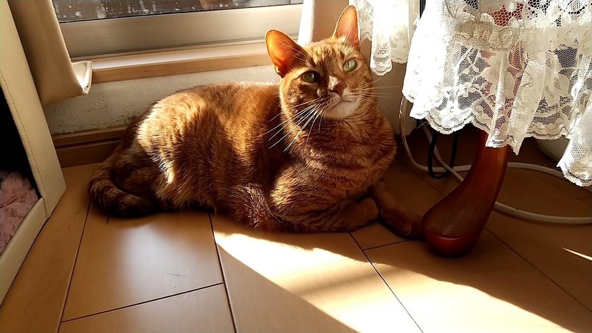 f:id:Betty0918:20220409095937j:plain