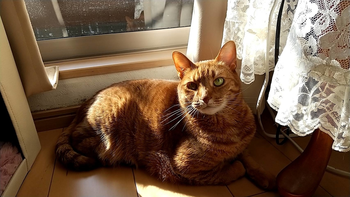 f:id:Betty0918:20220409095959j:plain