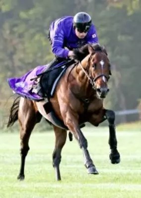 f:id:Beyourself-and-just-take-it-easy:20220929231252j:image f:id:Beyourself-and-just-take-it-easy:20220929231252j:image