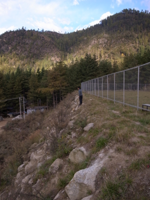f:id:Bhutan_Tamako:20101111190508j:image f:id:Bhutan_Tamako:20101111190508j:image