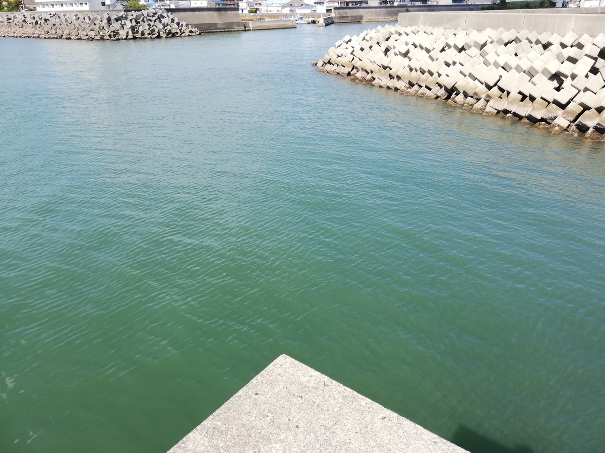 f:id:Bi-no:20190823093738j:plain