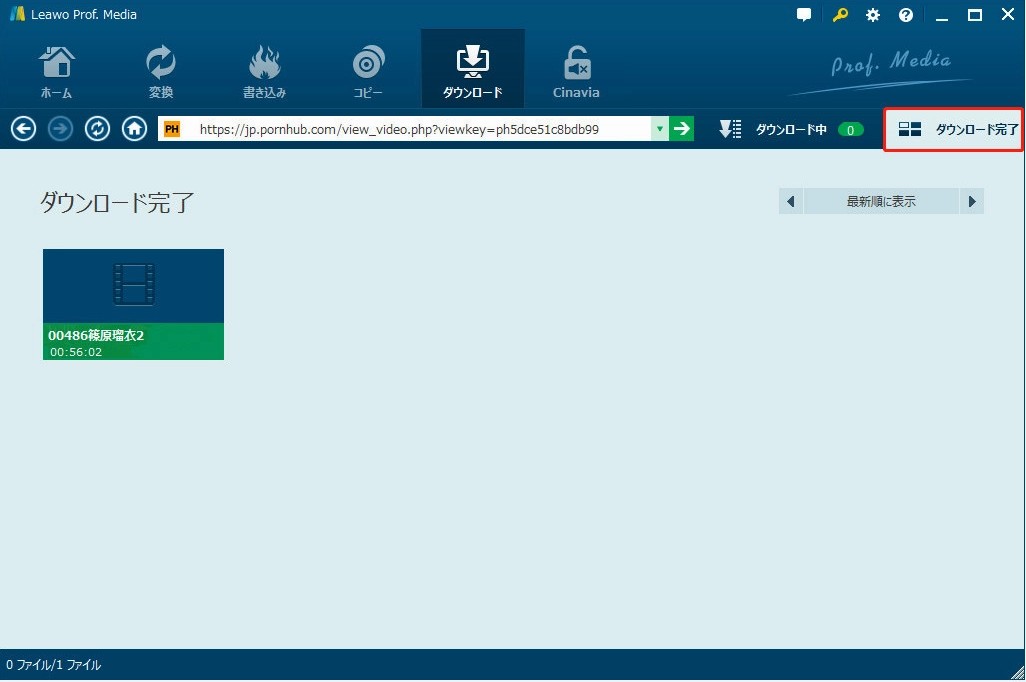 f:id:BiancaChan:20201221174906j:plain