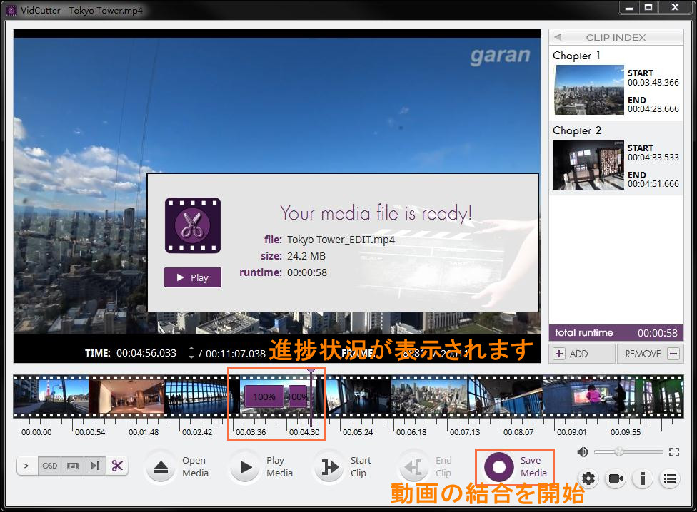 f:id:BiancaChan:20210111114631j:plain