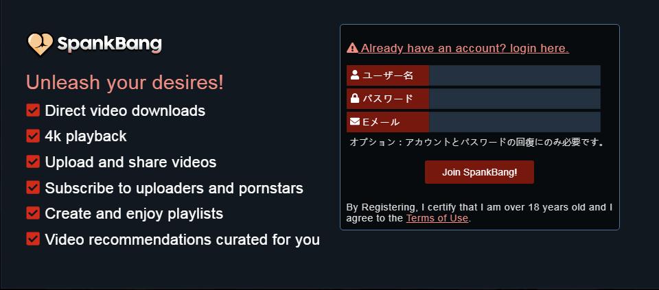 f:id:BiancaChan:20210118162002j:plain