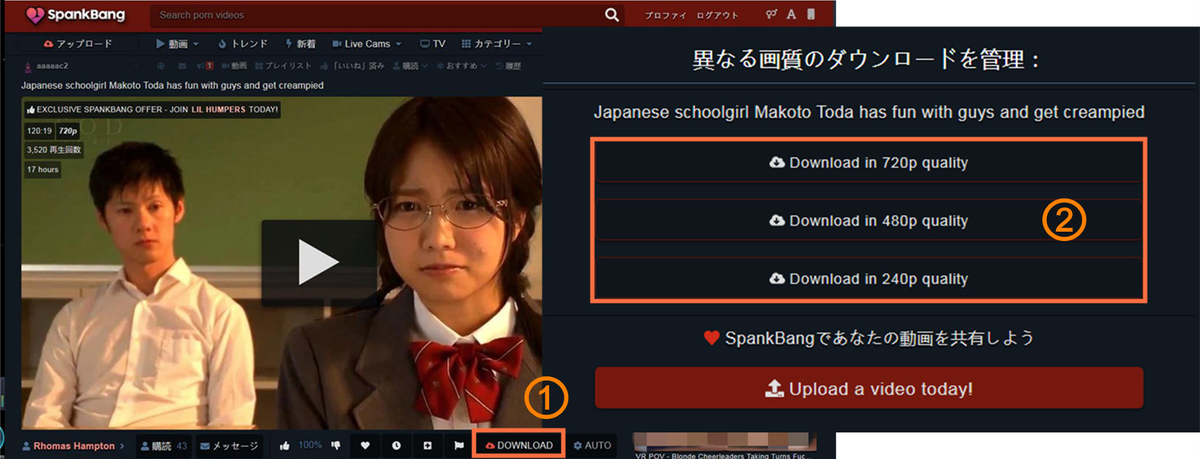 f:id:BiancaChan:20210118162057j:plain