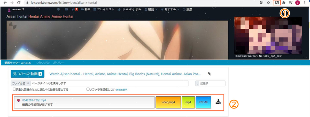 f:id:BiancaChan:20210118162638j:plain