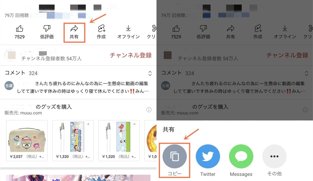 f:id:BiancaChan:20220123152507j:plain