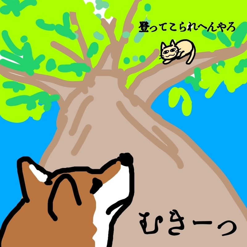 f:id:Bibendumaru:20201112233914j:plain f:id:Bibendumaru:20201112233914j:plain