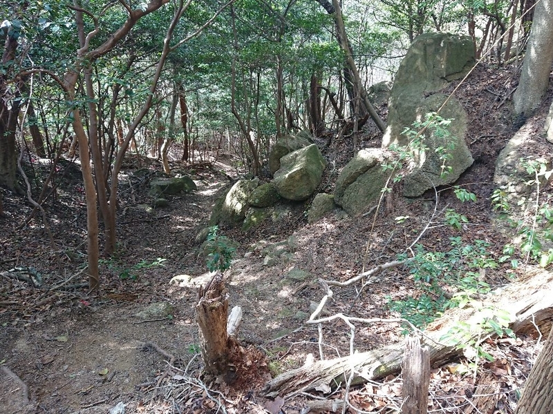 f:id:Bibendumaru:20210616221200j:plain