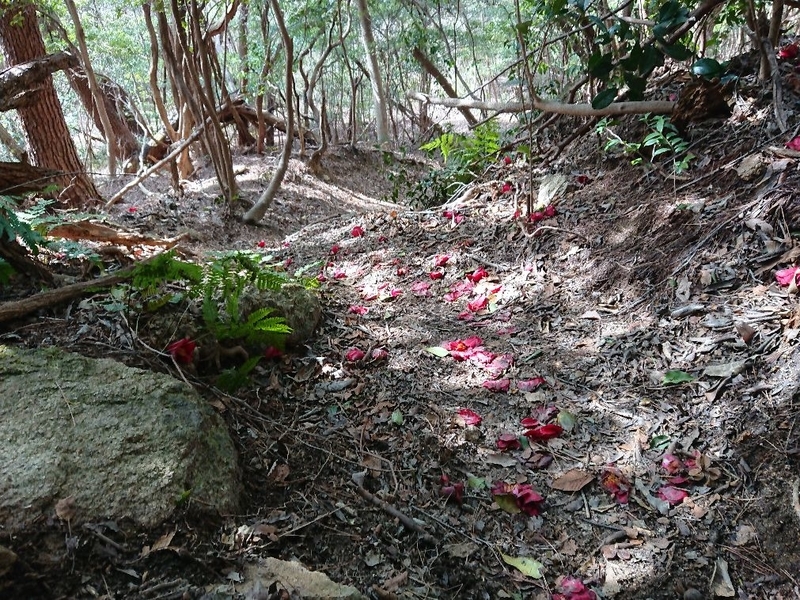 f:id:Bibendumaru:20210616221212j:plain