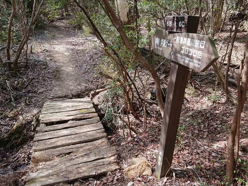 f:id:Bibendumaru:20210616221217j:plain