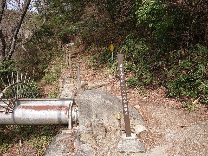 f:id:Bibendumaru:20210616221237j:plain