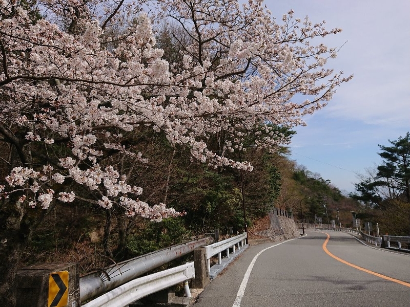 f:id:Bibendumaru:20210616221252j:plain