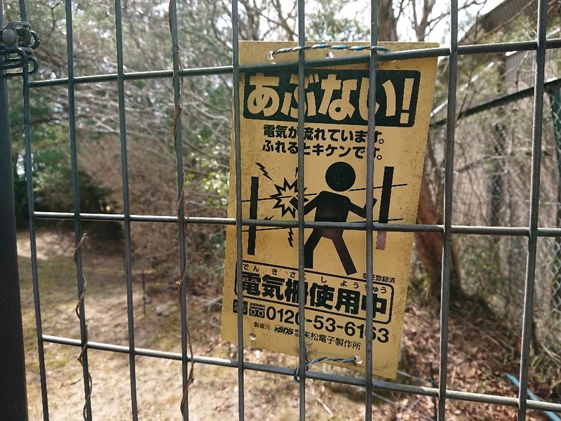 f:id:Bibendumaru:20210616221347j:plain