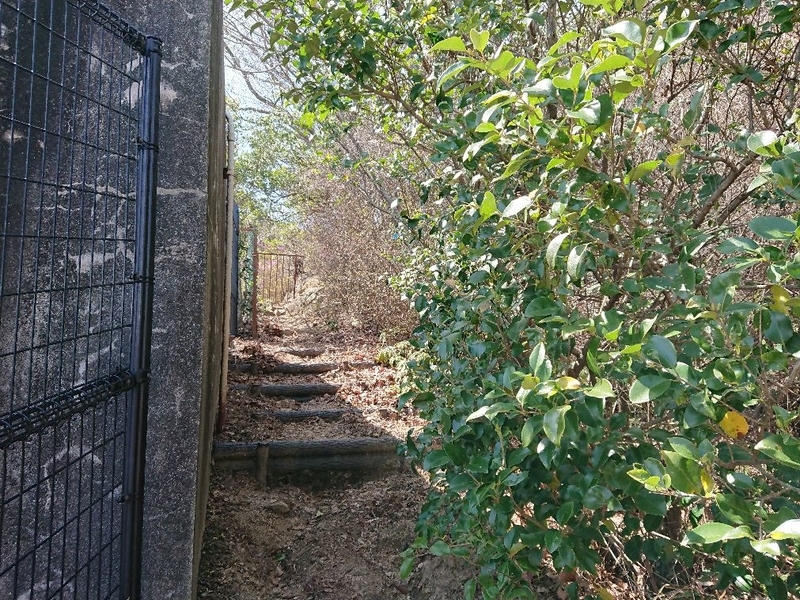 f:id:Bibendumaru:20210616221629j:plain