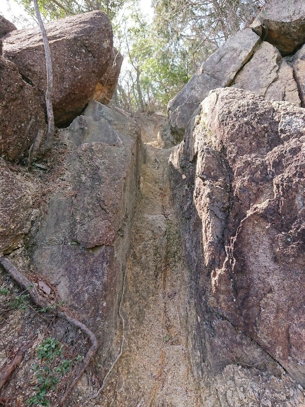 f:id:Bibendumaru:20210616221701j:plain