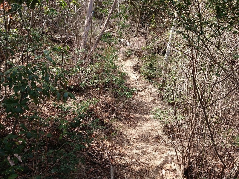 f:id:Bibendumaru:20210616221710j:plain