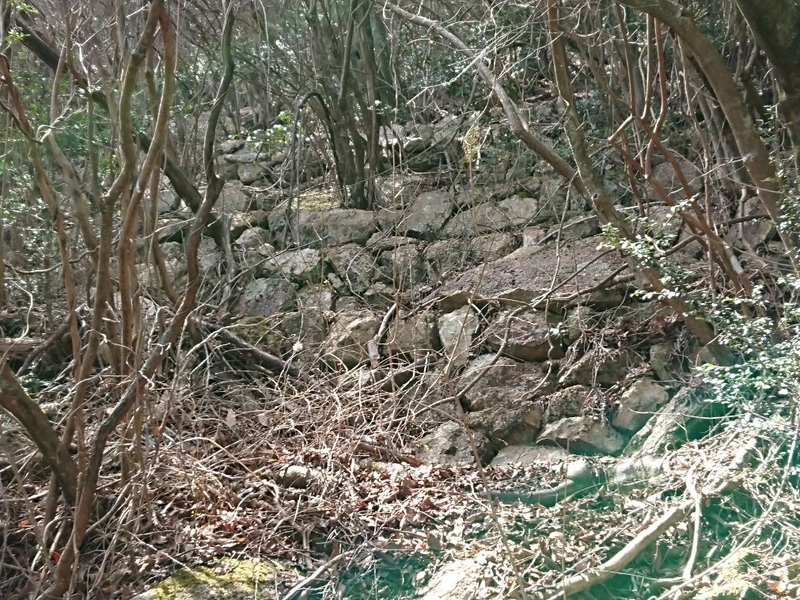 f:id:Bibendumaru:20210616221714j:plain