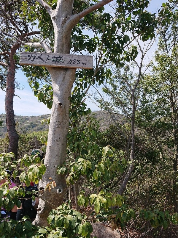 f:id:Bibendumaru:20210616221724j:plain