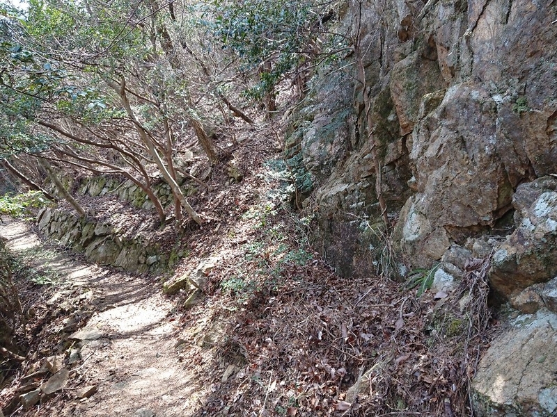 f:id:Bibendumaru:20210616221741j:plain