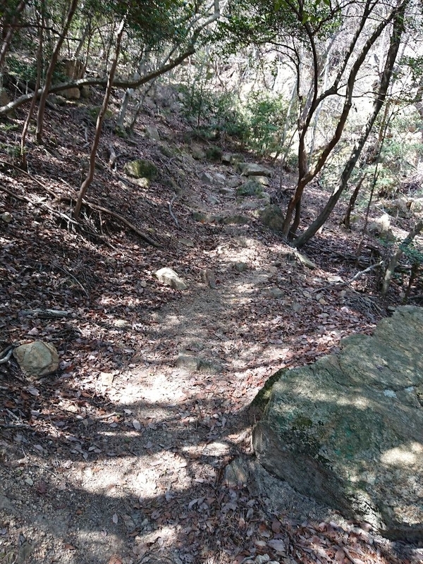 f:id:Bibendumaru:20210616221746j:plain