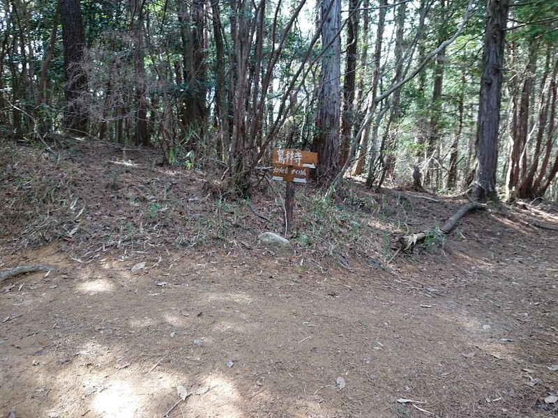 f:id:Bibendumaru:20210616221830j:plain