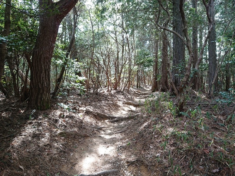 f:id:Bibendumaru:20210616221835j:plain