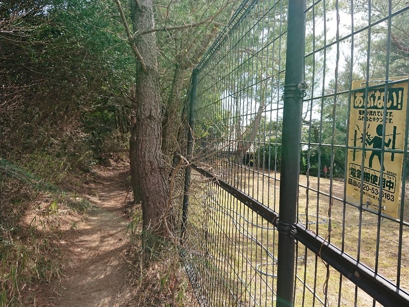 f:id:Bibendumaru:20210616221839j:plain