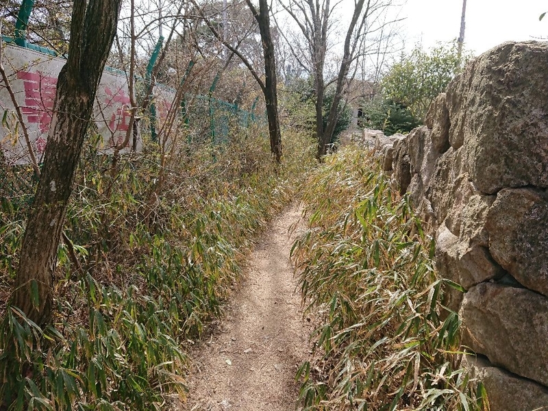 f:id:Bibendumaru:20210616221914j:plain