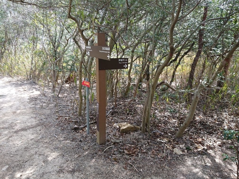 f:id:Bibendumaru:20210616221929j:plain