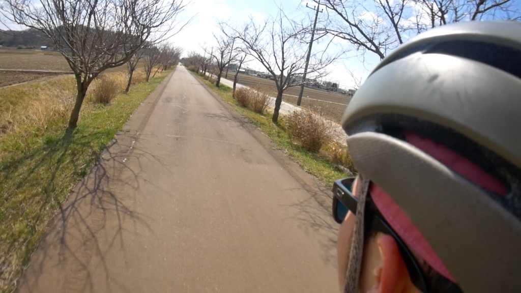 f:id:BicyclefiL:20170320194055j:plain