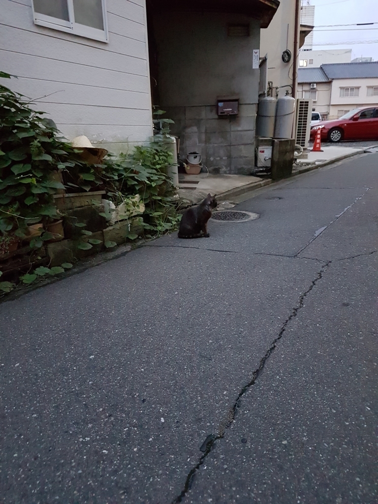 f:id:BigHope:20170816233344j:plain