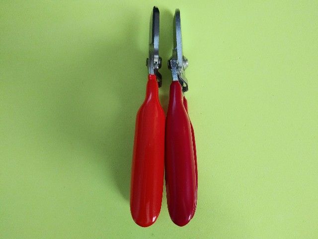f:id:BiggameFishing:20210320072650j:image
