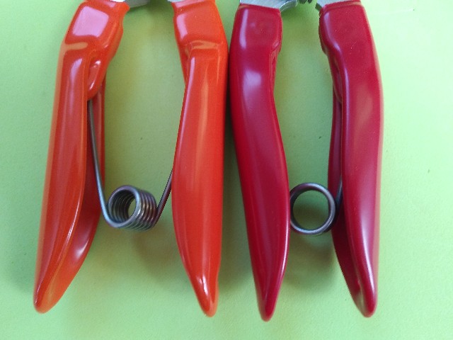 f:id:BiggameFishing:20210320073216j:image
