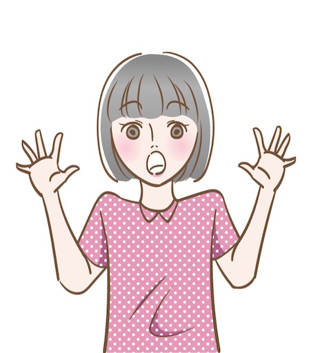 f:id:Bihada_Challenge:20210305003010j:image