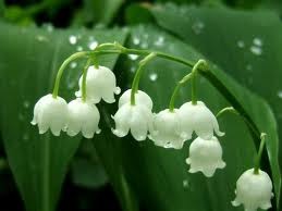 f:id:Bijim:20120522232016j:image f:id:Bijim:20120522232016j:image