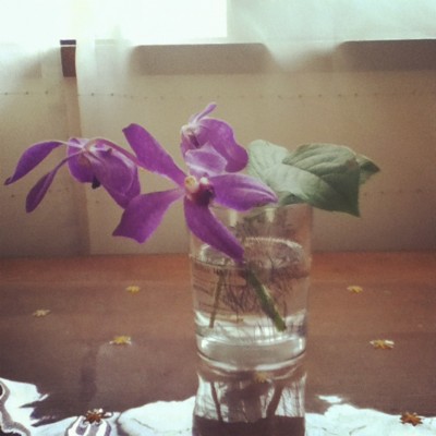 f:id:Bijim:20120605231158j:image f:id:Bijim:20120605231158j:image